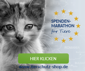 Tierschutz-Shop Spenden-Marathon fuer Tiere 2017