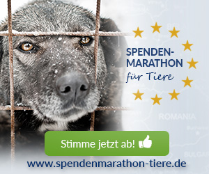 Tierschutz-Shop Spenden-Marathon fuer Tiere 2018