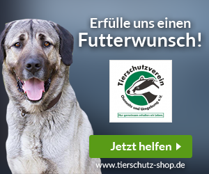 Tierschutzverein Chemnitz und Umgebung e.V.