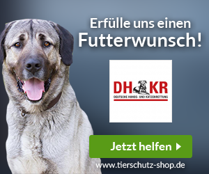 Deutsche Hunde und Katzenrettung e.V